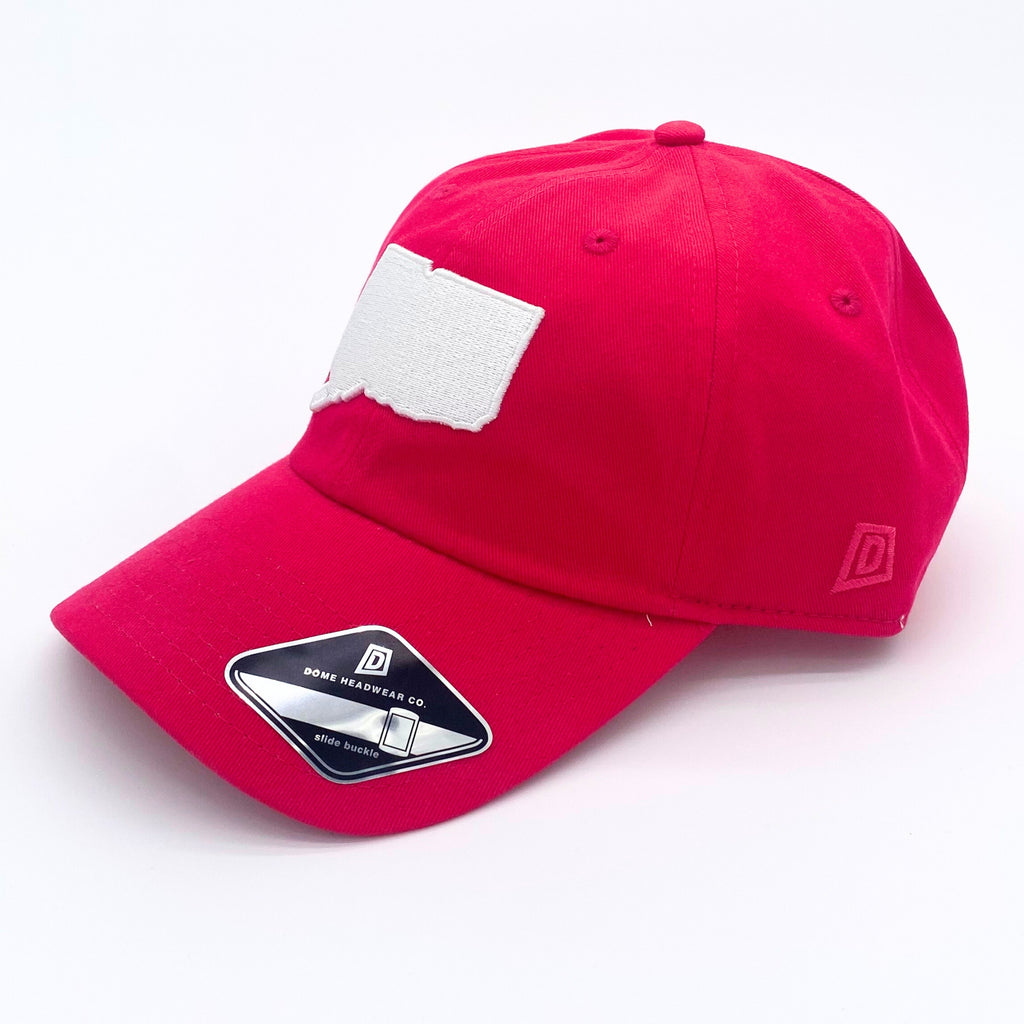 CT State Dad Hat (Pink/White)
