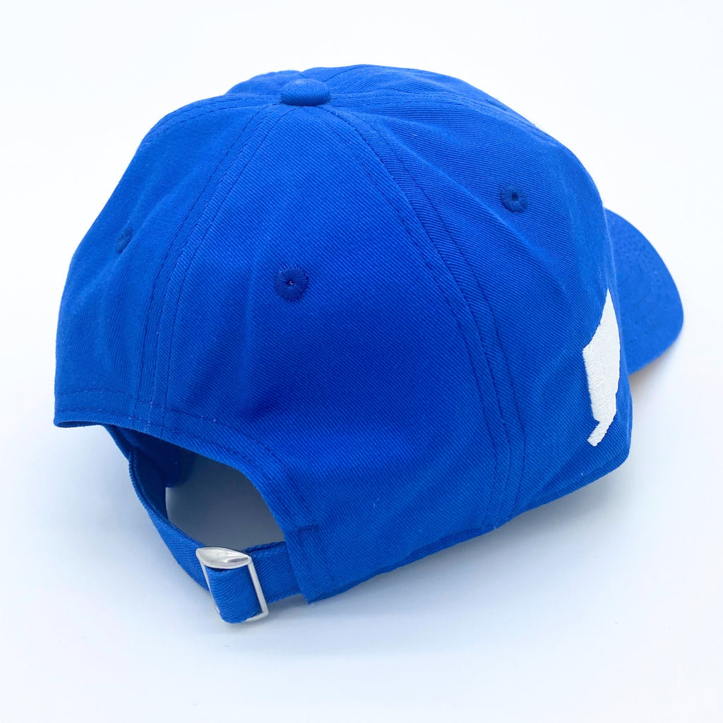 860 Dad Hat (Royal/White)