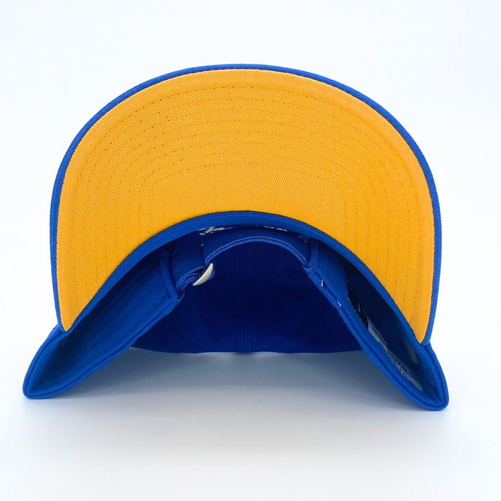 CT State Dad Hat (Royal/White)